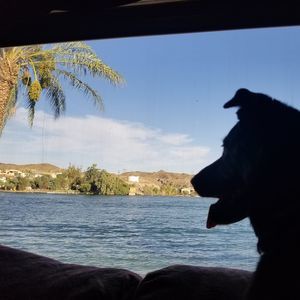 Meet your Posher, Robin